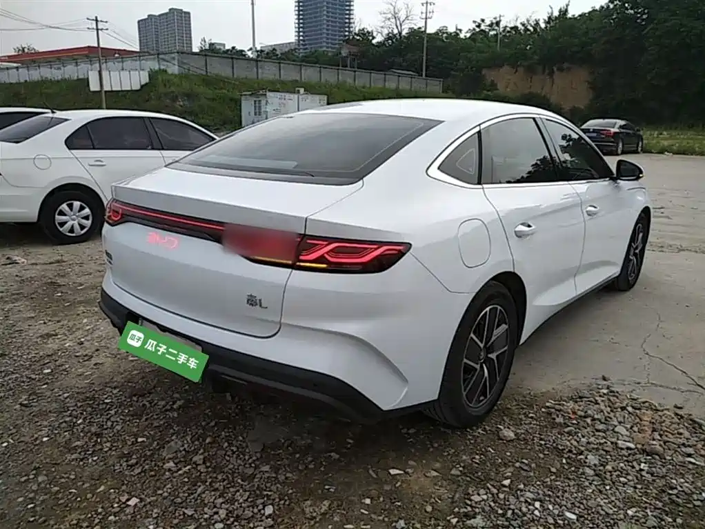 Qin L DM-i 80 KM Transcend