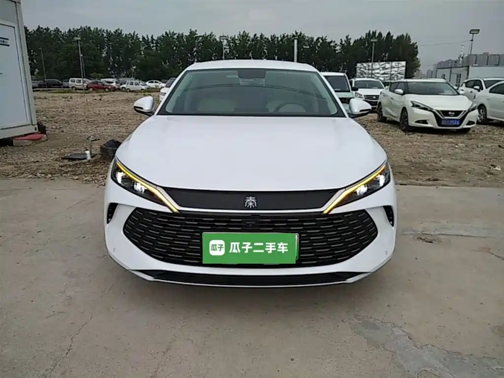 Qin L DM-i 80 KM Transcend