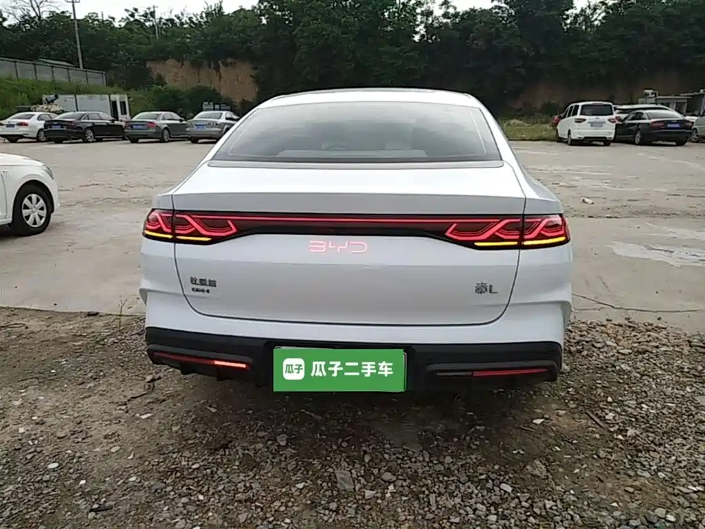 Qin L DM-i 80 KM Transcend