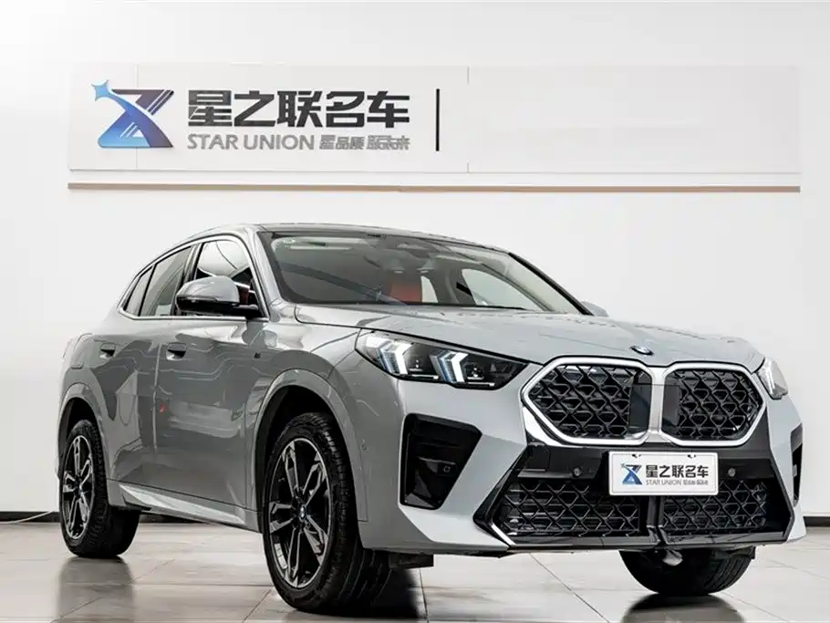 BMW X2 (Import) sDrive25 i M Sport Package