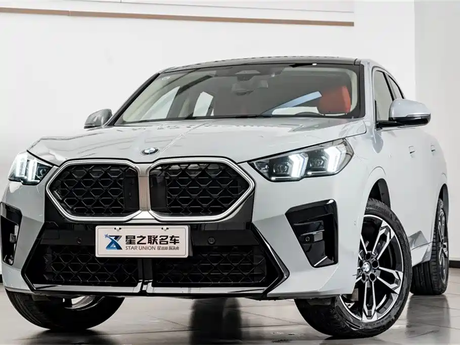 BMW X2 (Import) sDrive25 i M Sport Package