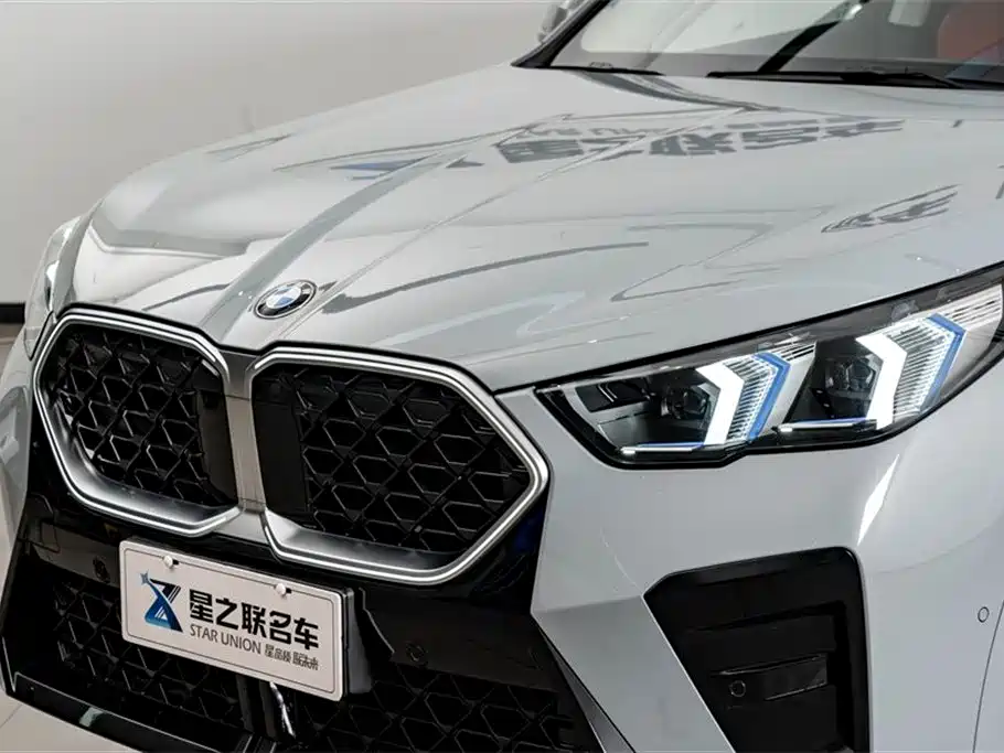 BMW X2 (Import) sDrive25 i M Sport Package