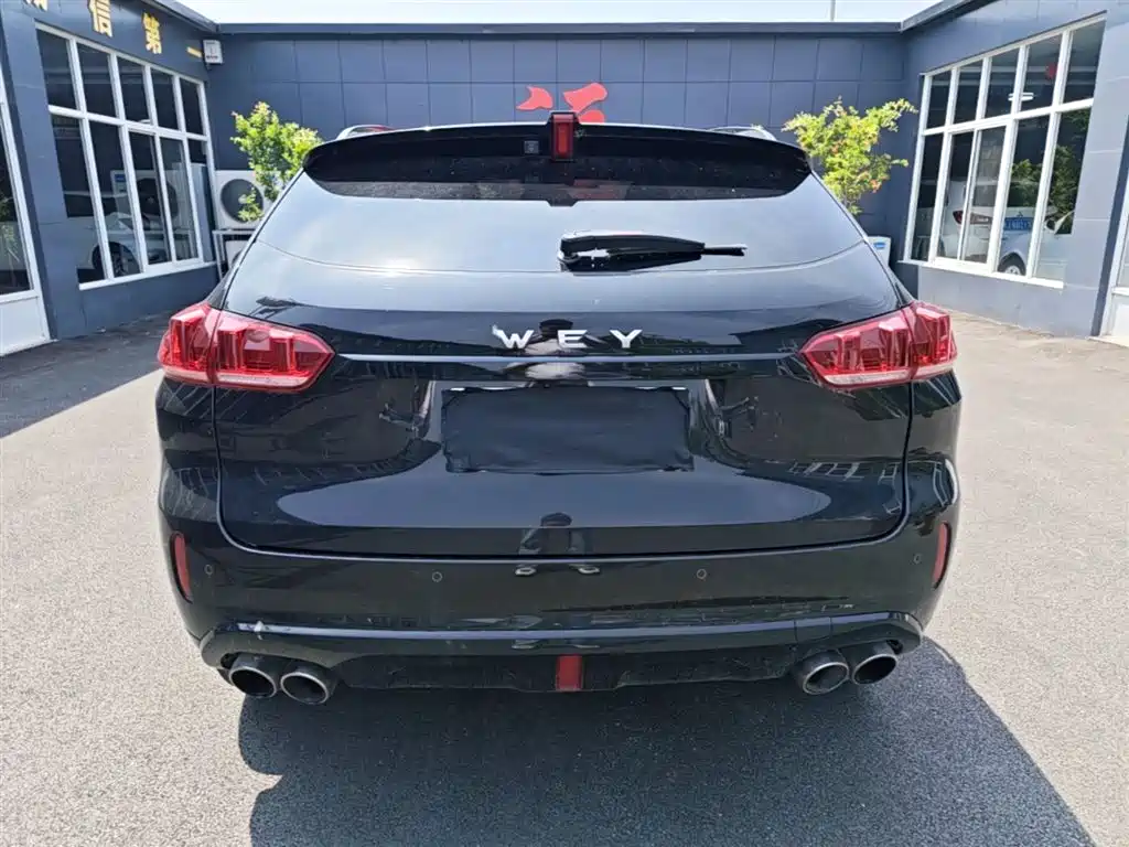 WEY VV5 2.0 T Super Luxury