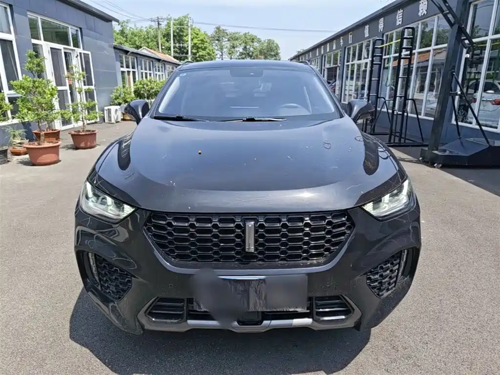 WEY VV5 2.0 T Super Luxury