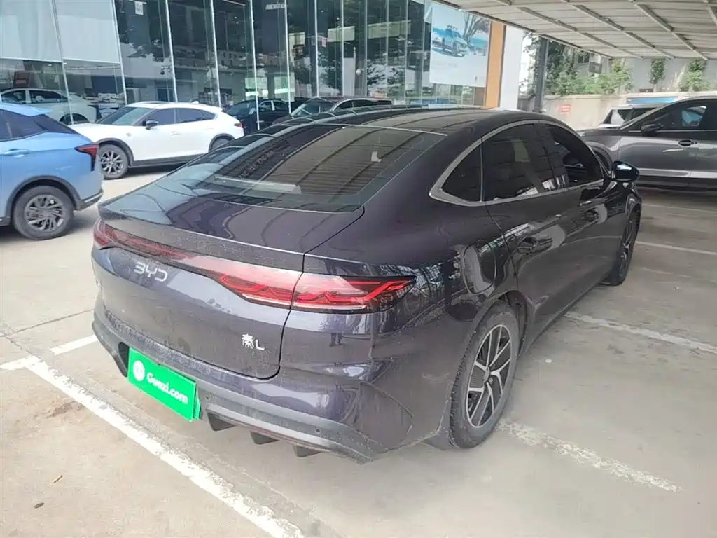 Qin L DM-i 80 KM Transcend