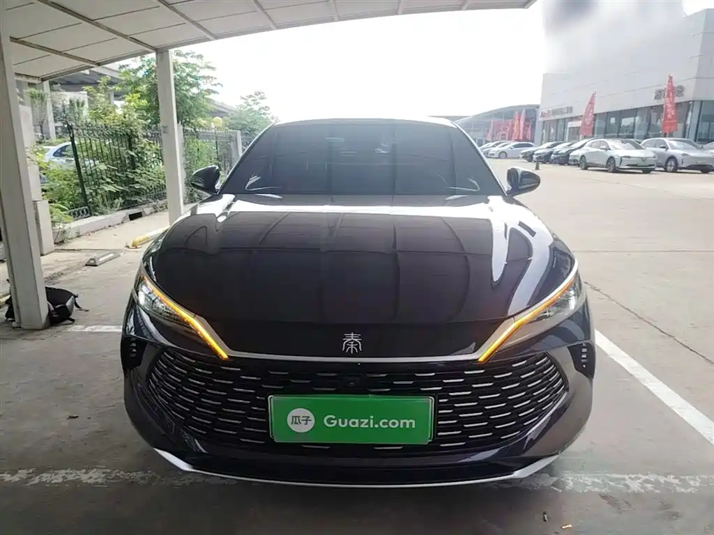 Qin L DM-i 80 KM Transcend