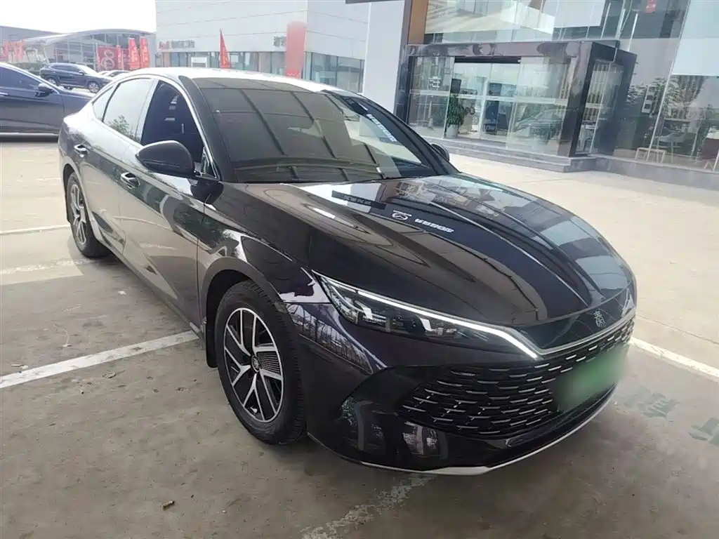 Qin L DM-i 80 KM Transcend