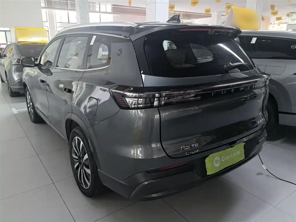 Fengyun T8 1.5 T 130 km Premium 5-seat