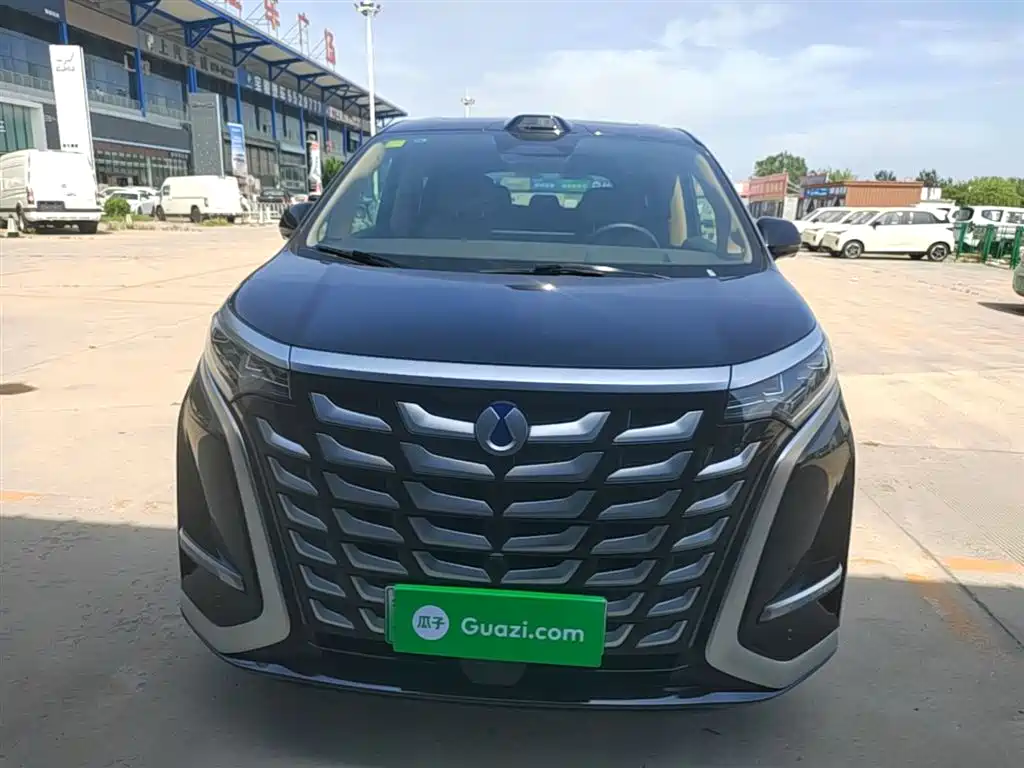 Denza D9 DM-i Smart Drive 1020 4 WD Honored