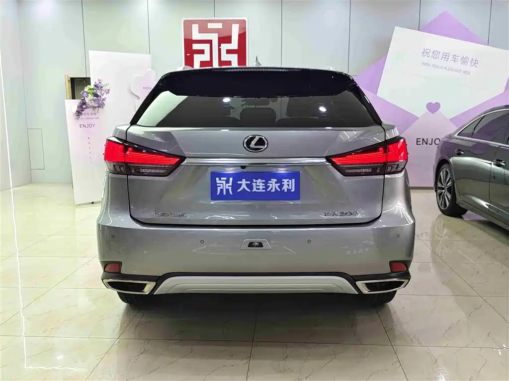 Lexus RX 300 2 WD Elite CN-VI