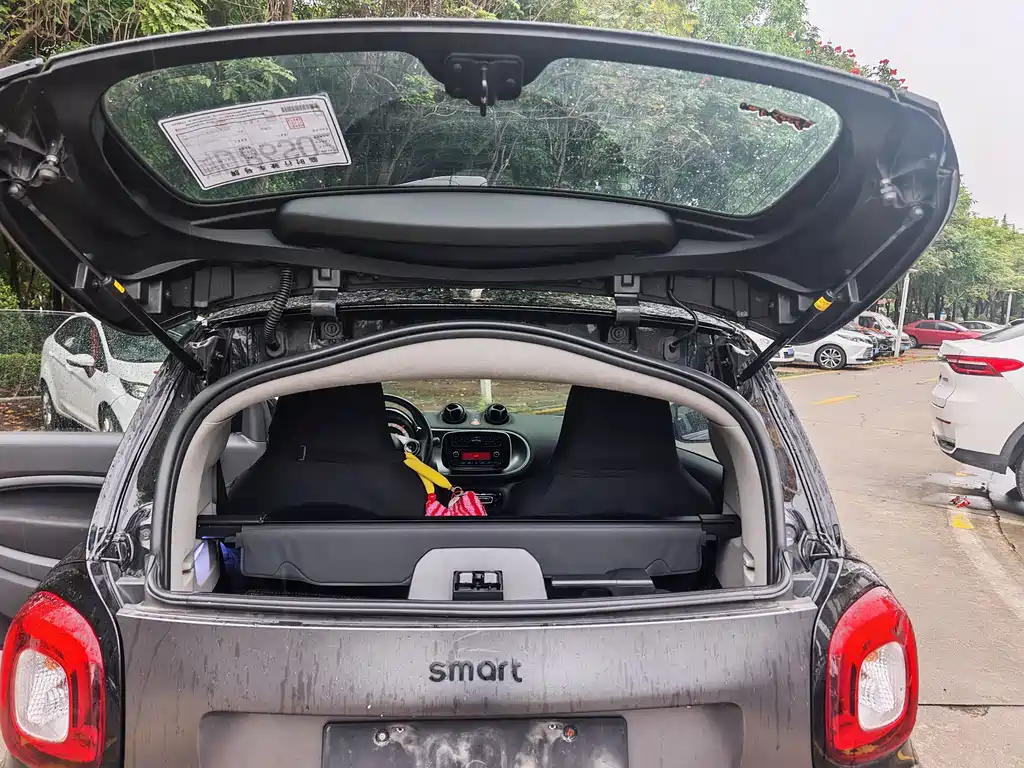 smart fortwo 1.0 L Special Edition