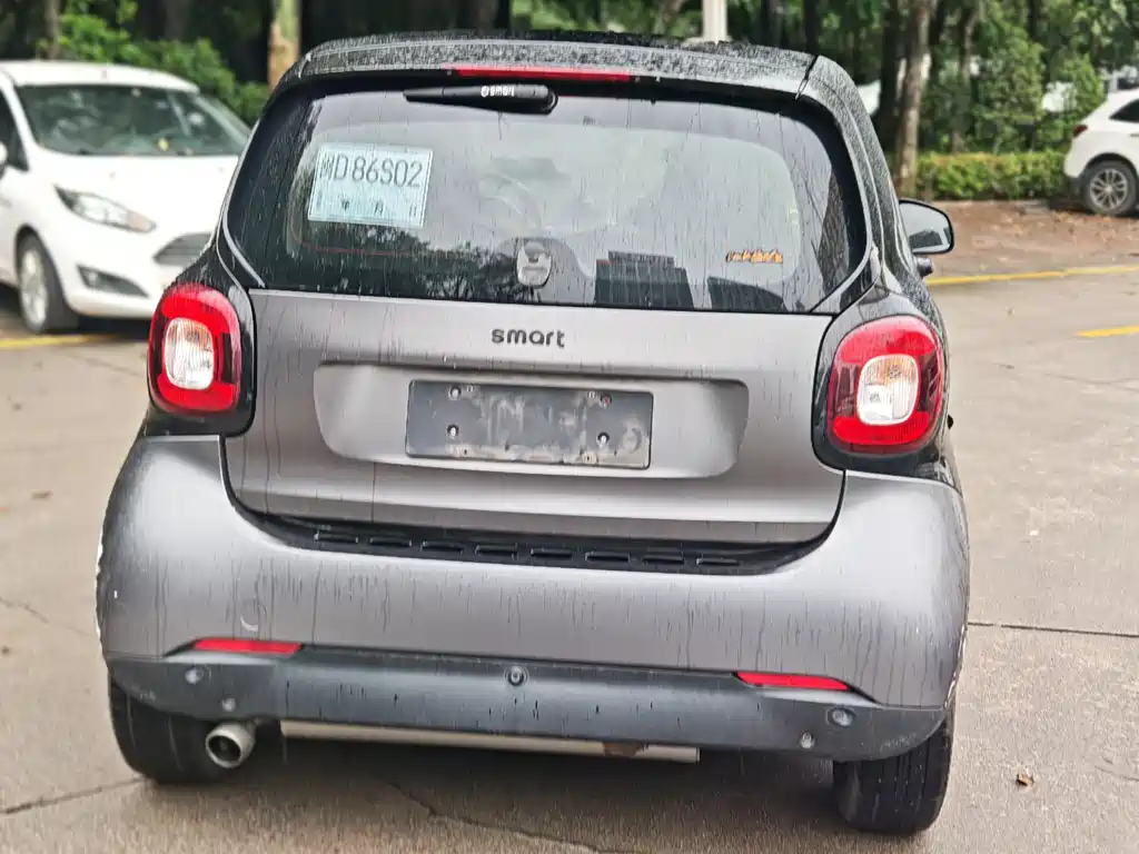 smart fortwo 1.0 L Special Edition