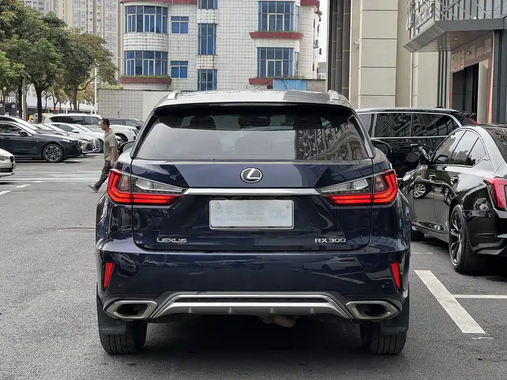 Lexus RX 300 2 WD Elite CN-V
