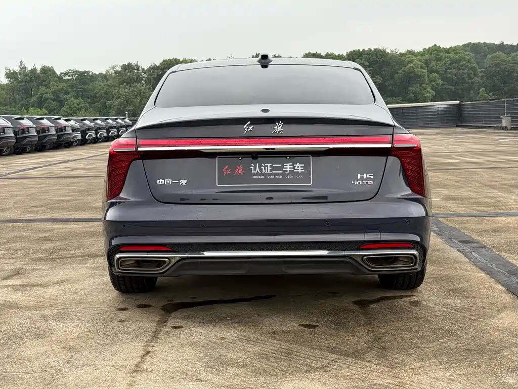 Hongqi H5 2.0 T Auto Connected Flagship Leading