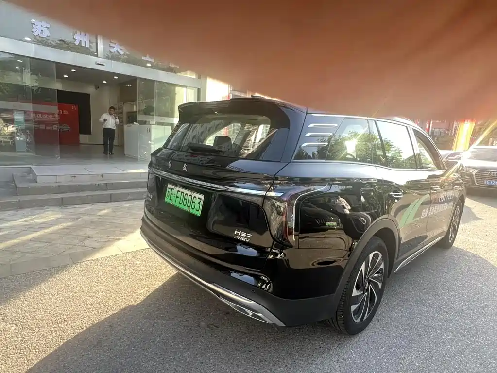 Hongqi HS7 PHEV 红旗HS7 PHEV 2025款 2.0 T PHEV 四驱200万辆纪念版 6座