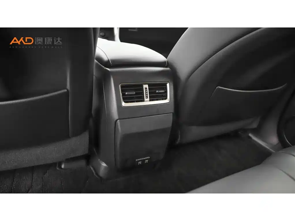 Lexus RX 雷克萨斯RX2020款 改款 300 两驱舒适版