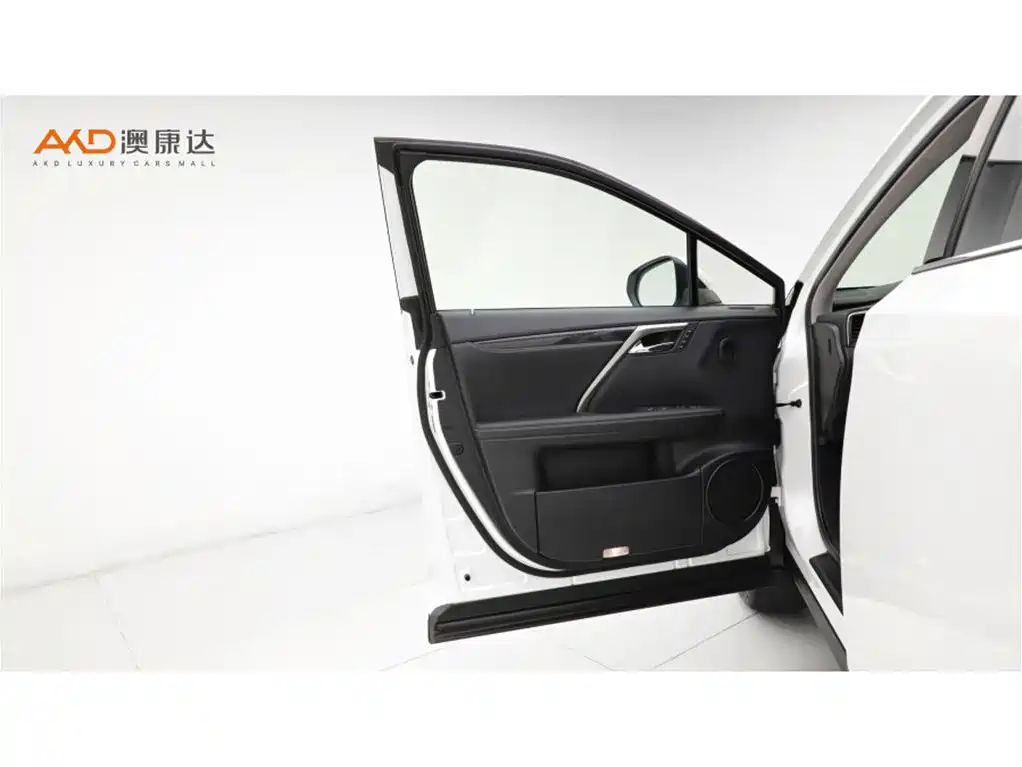 Lexus RX 雷克萨斯RX2020款 改款 300 两驱舒适版