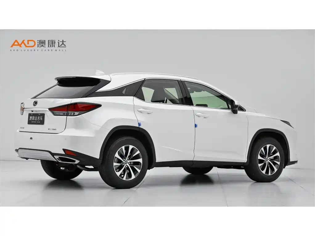 Lexus RX 雷克萨斯RX2020款 改款 300 两驱舒适版