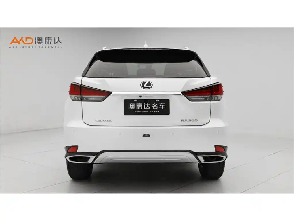 Lexus RX 雷克萨斯RX2020款 改款 300 两驱舒适版