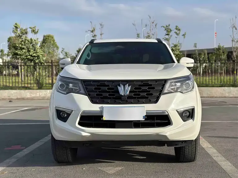 Dongfeng 帕拉丁 帕拉丁 2024款 2.0 T 四驱臻享版