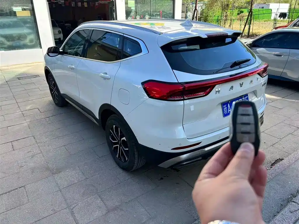 Haval H6 China Style 1.5 T Auto Urban