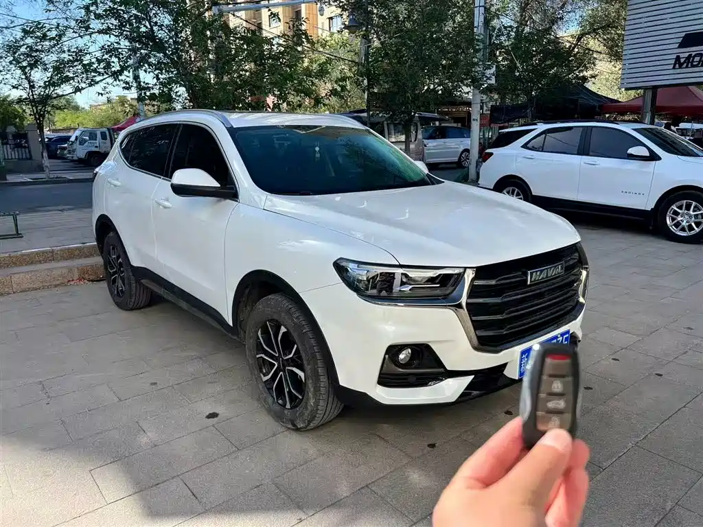 Haval H6 China Style 1.5 T Auto Urban