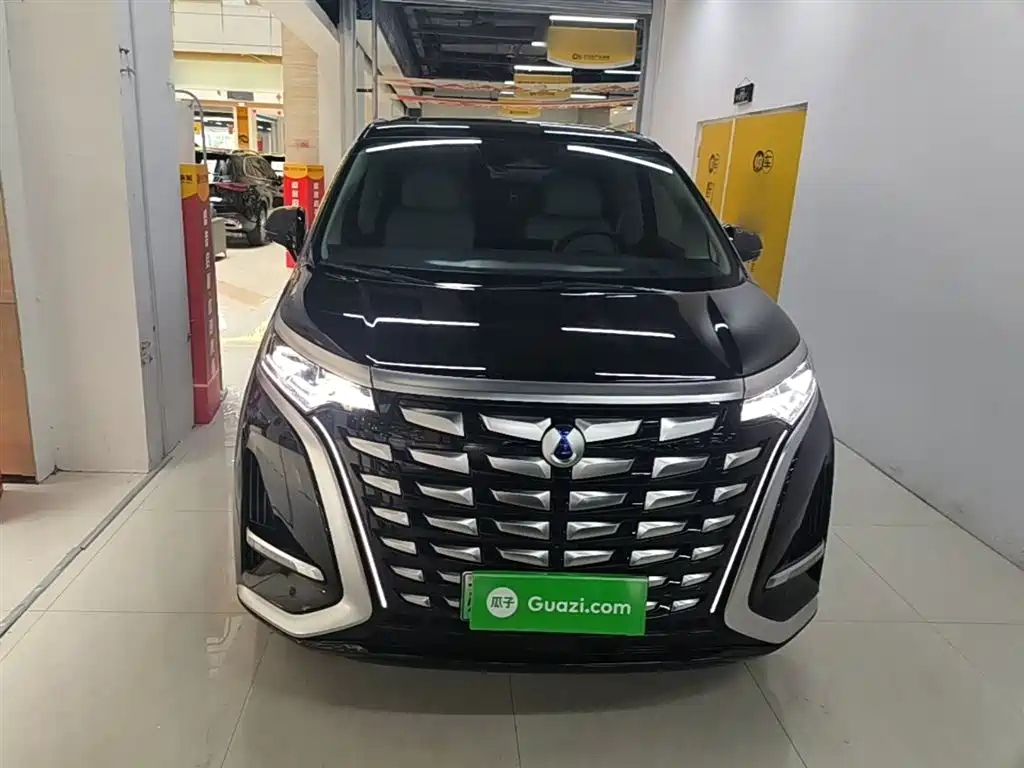 Denza D9 DM-i 980 4 WD Honored
