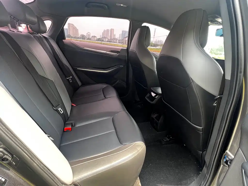 Ruicheng PLUS 1.5 T DCT Luxury