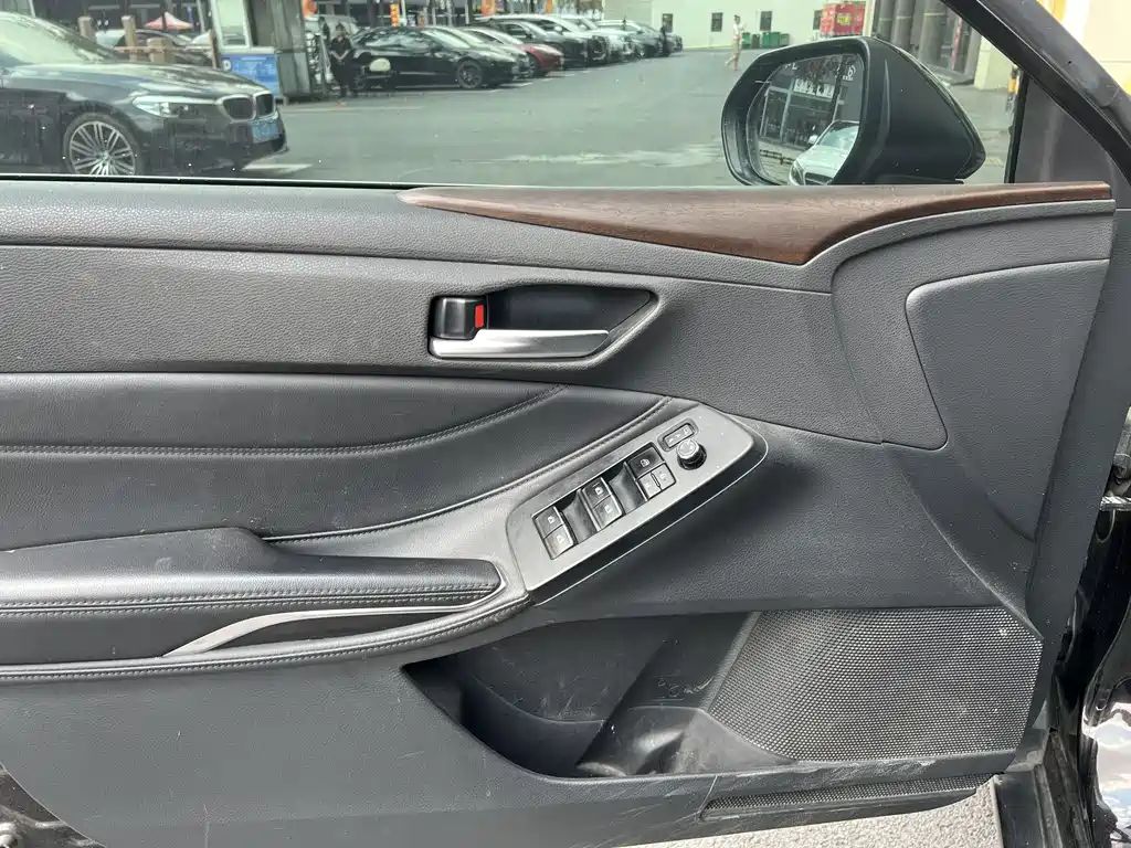 Avalon 2.0 L Luxury CN-VI