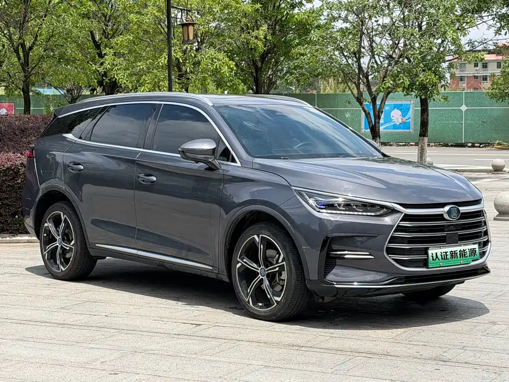 Tang NEV 唐新能源 2021款 DM-i 52 KM 豪华型