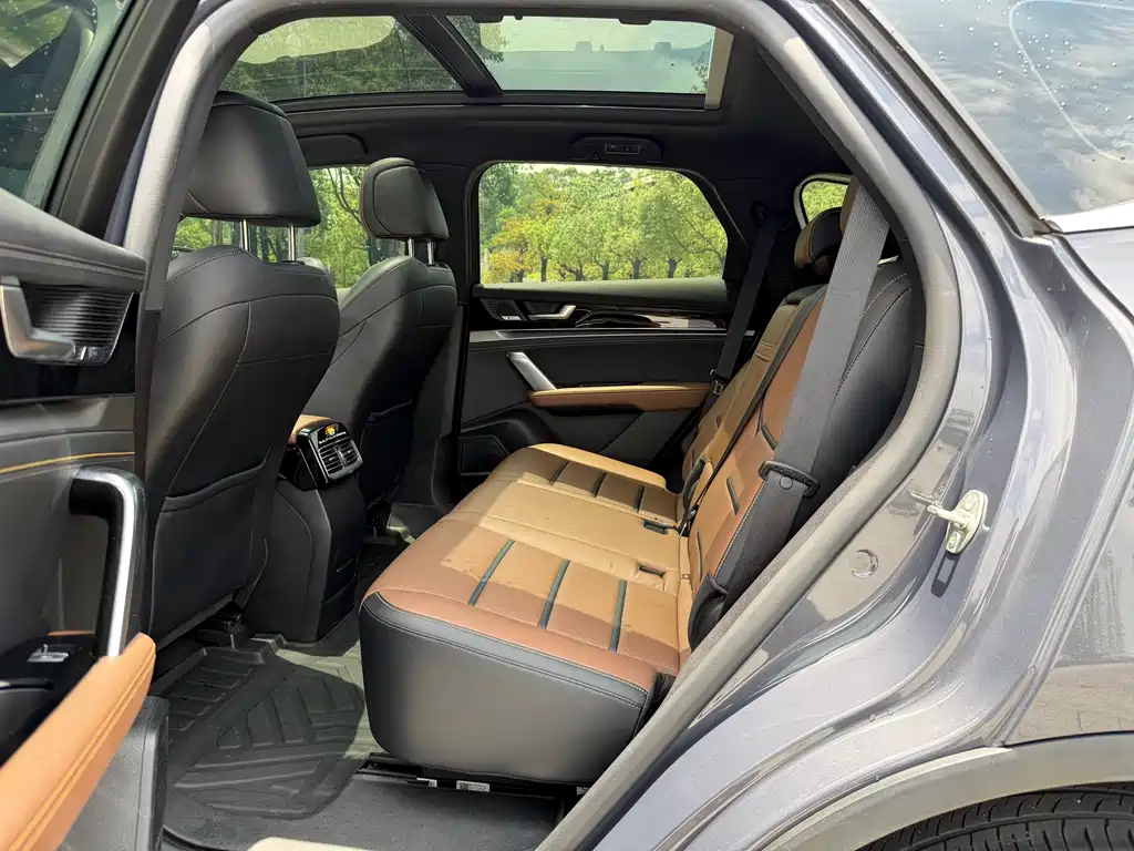 Tang NEV 唐新能源 2021款 DM-i 52 KM 豪华型