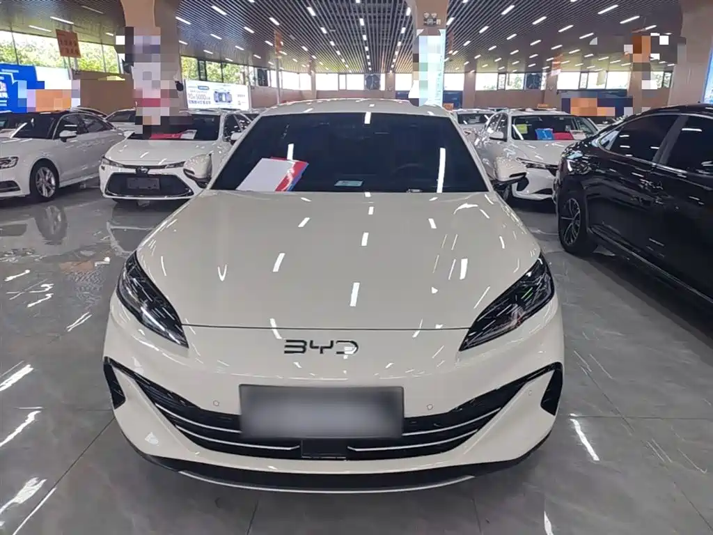 Seal 06 DM-i Smart Drive 80 KM Luxury