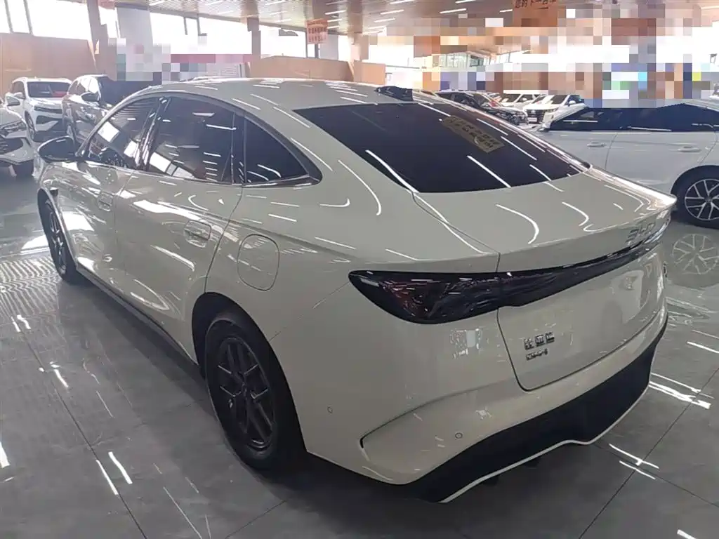 Seal 06 DM-i Smart Drive 80 KM Luxury