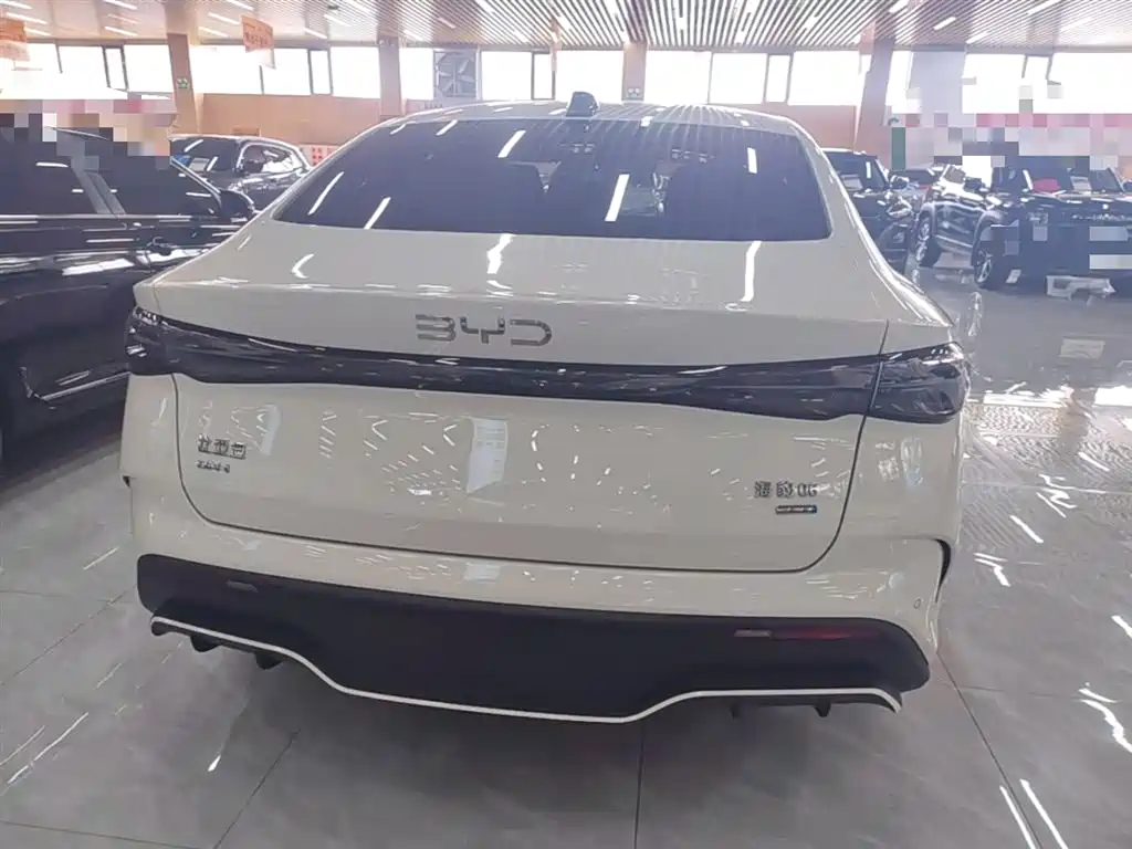 Seal 06 DM-i Smart Drive 80 KM Luxury