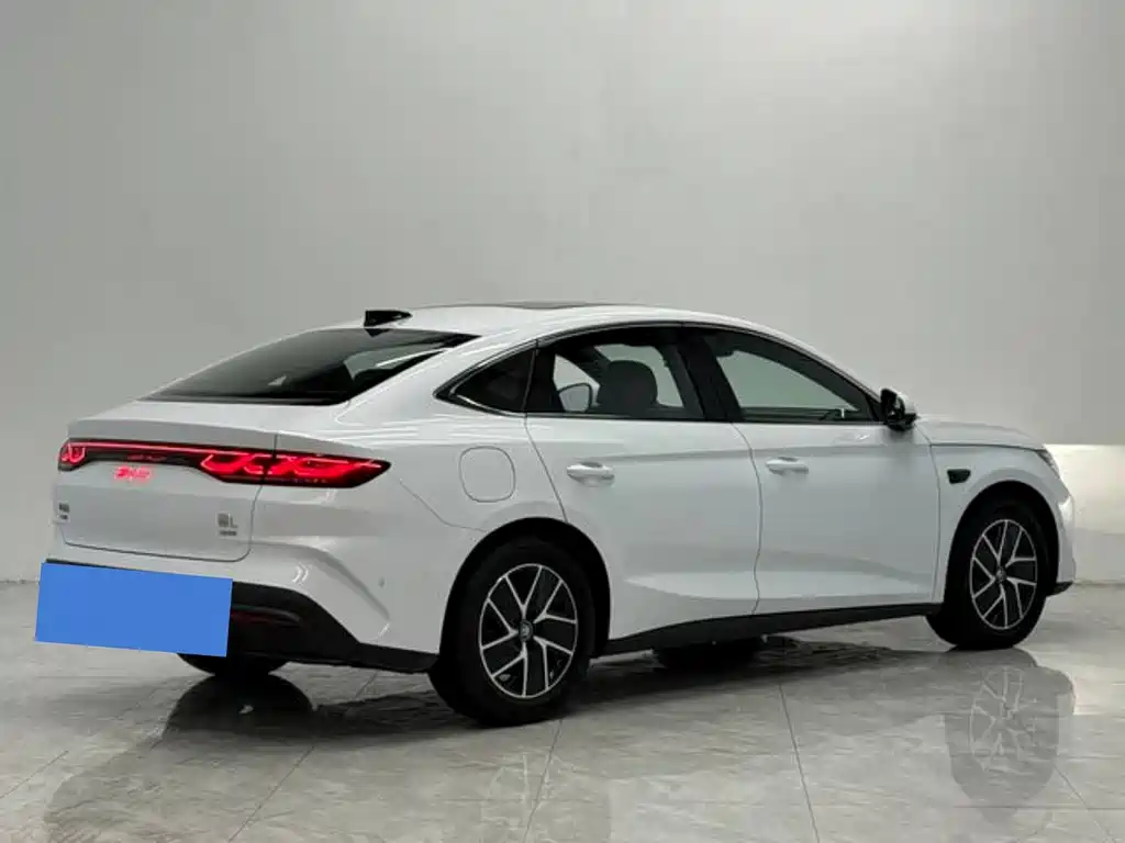 Qin L DM-i Smart Drive 120 KM Transcend