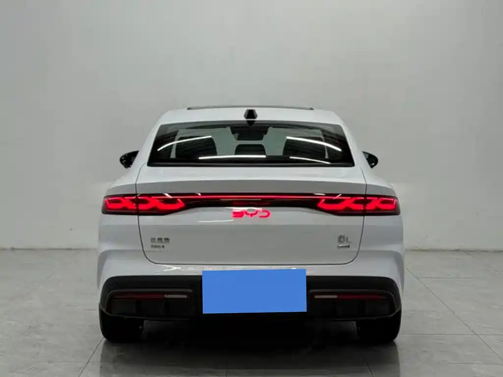 Qin L DM-i Smart Drive 120 KM Transcend