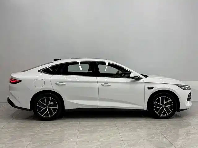 Qin L DM-i Smart Drive 120 KM Transcend