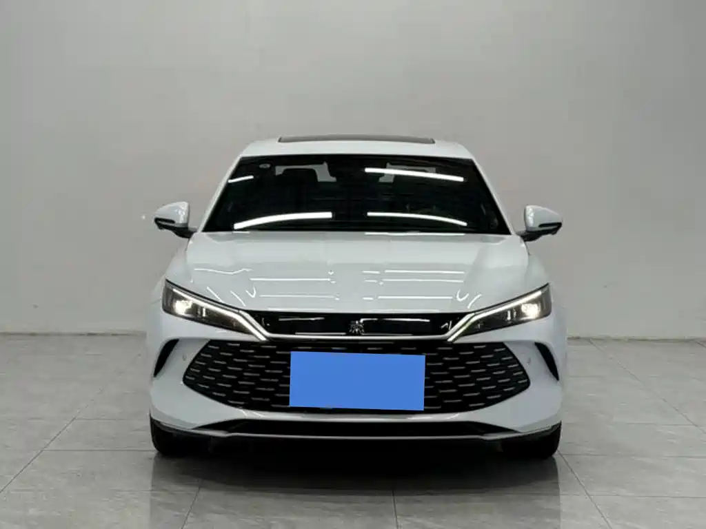 Qin L DM-i Smart Drive 120 KM Transcend