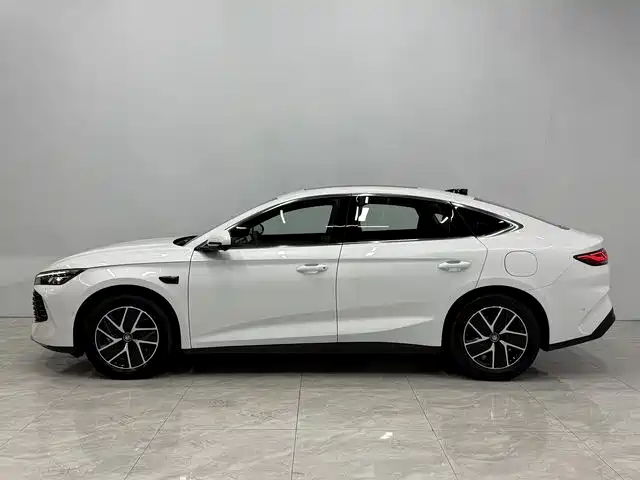Qin L DM-i Smart Drive 120 KM Transcend