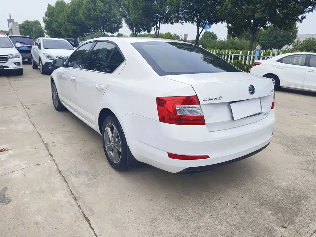 Octavia 1.6 L Auto Creation