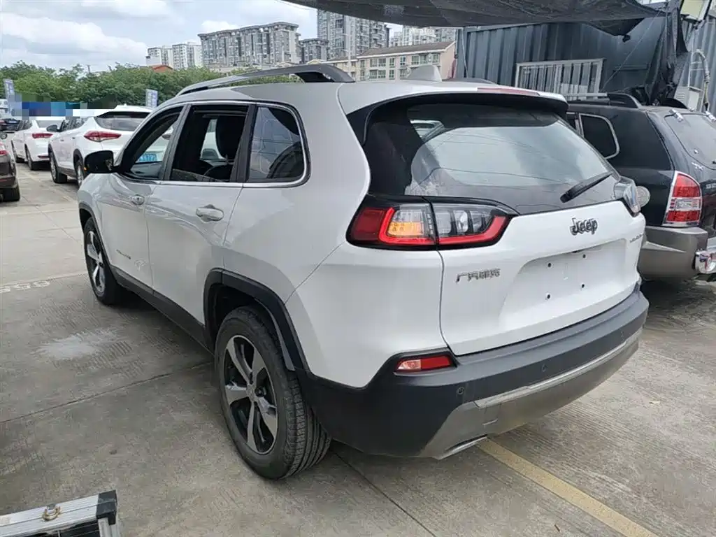 Cherokee 自由光 2020款 2.0 T 两驱领先版