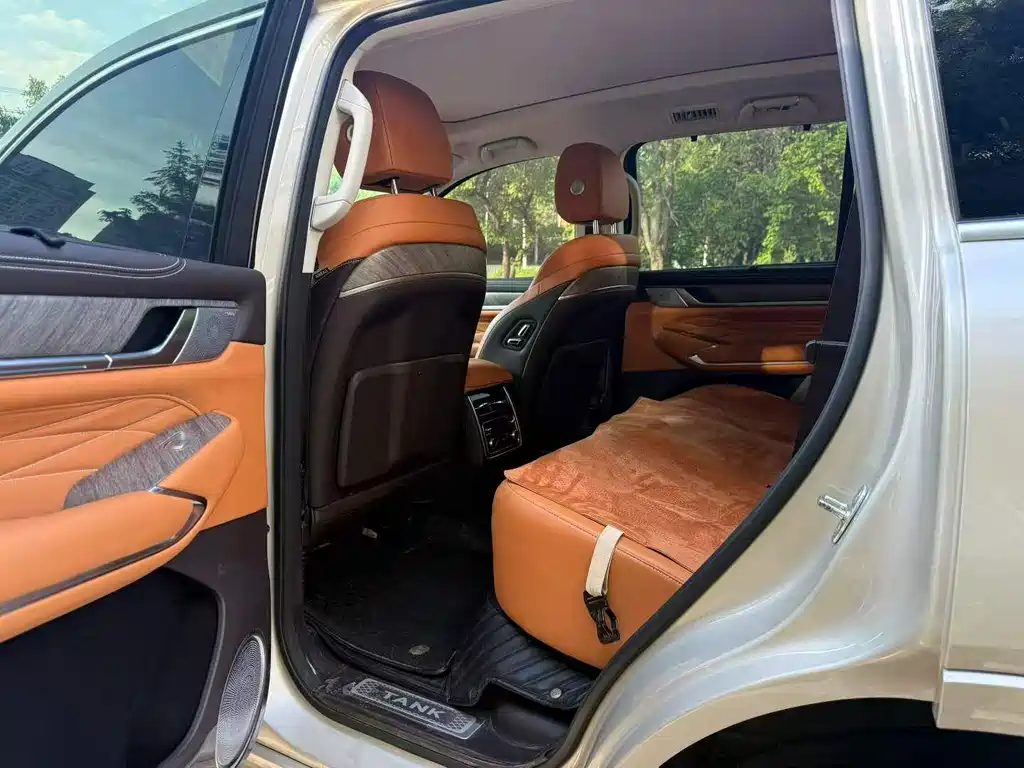 Tank 500 3.0 T Special Custom 5-seat
