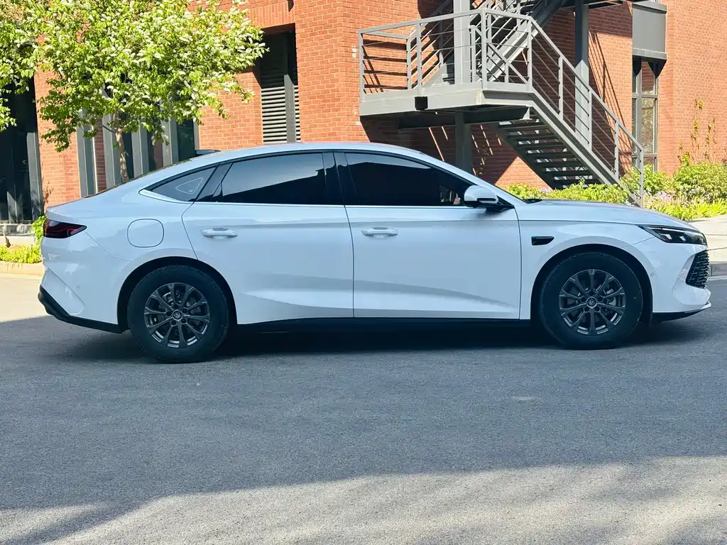 Qin L DM-i Smart Drive 80 KM Leading