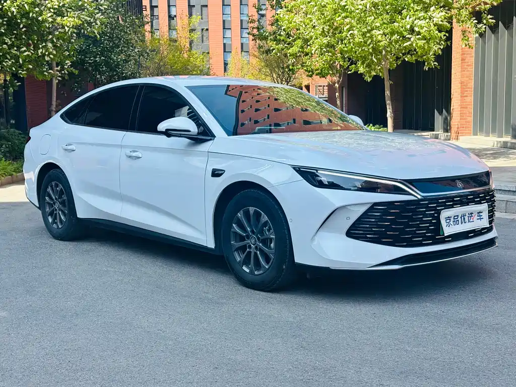 Qin L DM-i Smart Drive 80 KM Leading