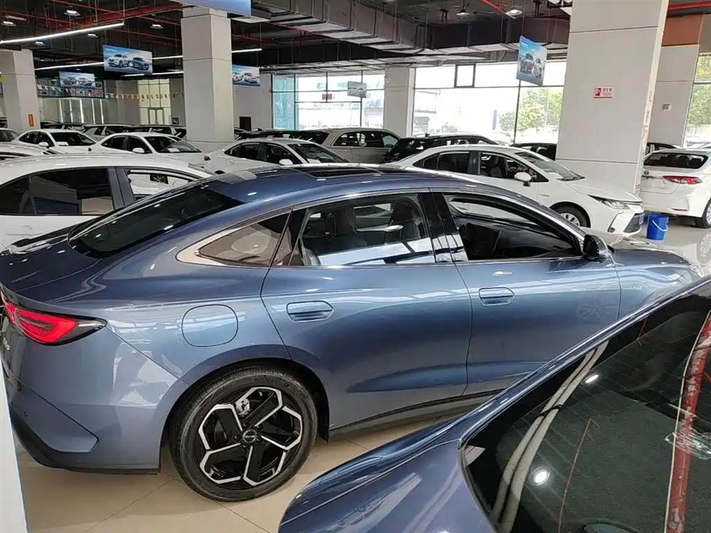 Seal 06 DM-i 120 KM Flagship