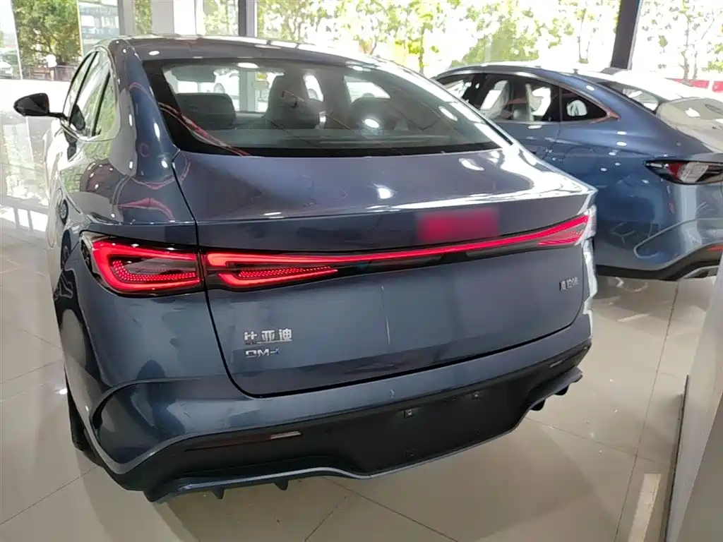 Seal 06 DM-i 120 KM Flagship