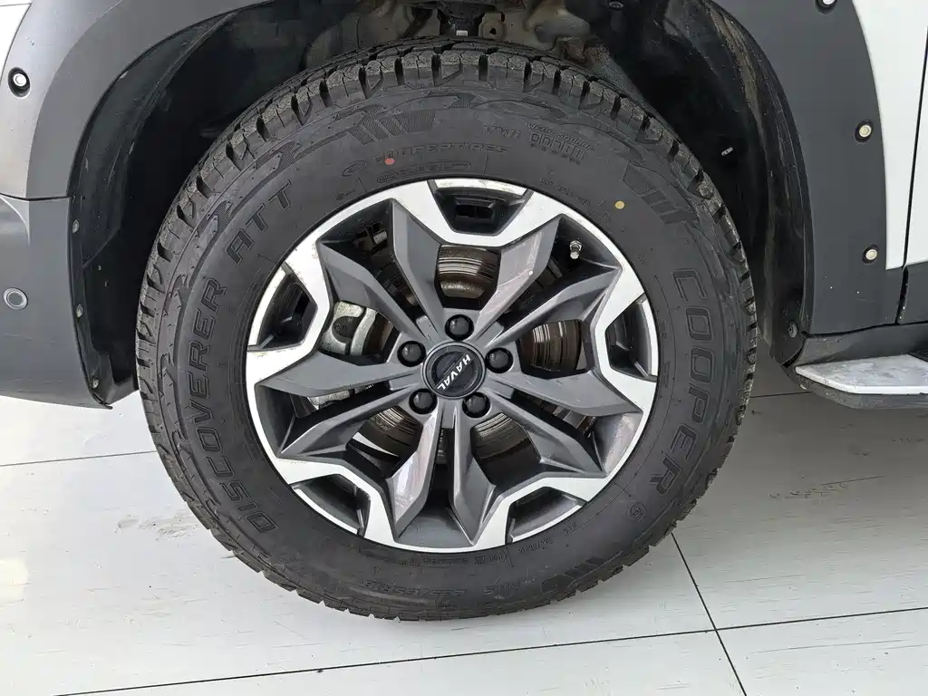 Haval Dargo 2.0 T DCT 4 WD Howling Dog