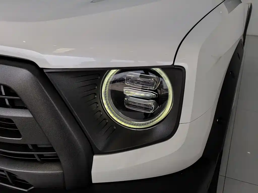 Haval Dargo 2.0 T DCT 4 WD Howling Dog