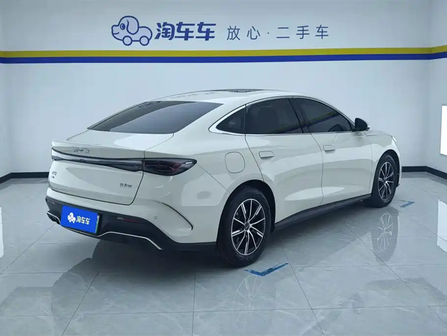 Seal 06 DM-i 120 KM Premium
