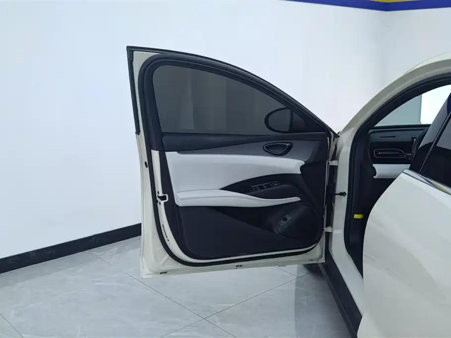 Seal 06 DM-i 120 KM Premium